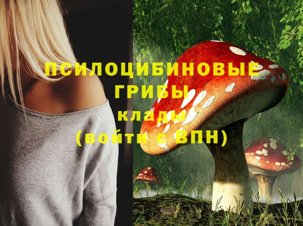 прущие крисы Зеленодольск