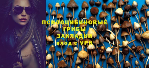 прущие крисы Зеленодольск