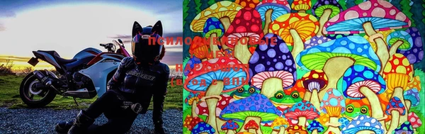 mdma Зеленокумск