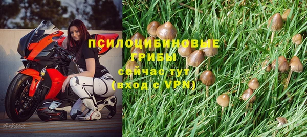 прущие крисы Зеленодольск