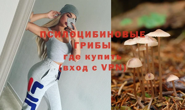 прущие крисы Зеленодольск
