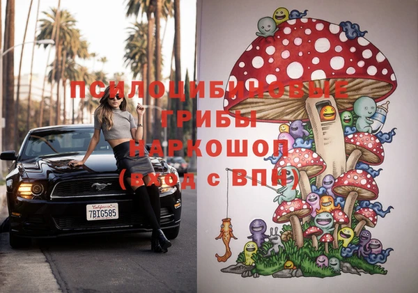 герыч Осинники