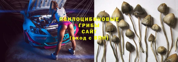 mdma Зеленокумск
